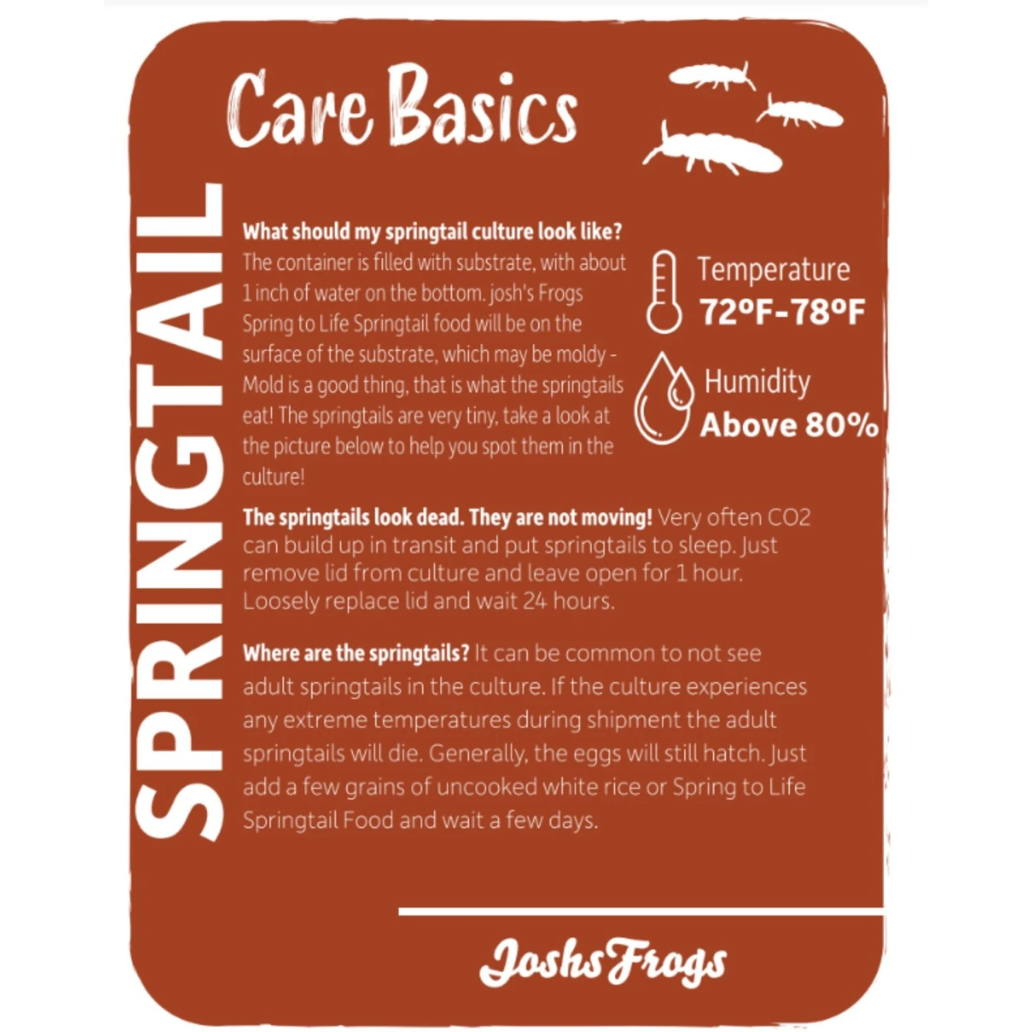 Josh's Frogs Temperate Springtail Collembola Culture Live Feed Reptile Food 4 Josh's Frogs Temperate Springtail Collembola Culture Live Feed Reptile Food - Image 2