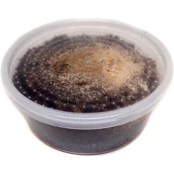 Josh's Frogs Temperate Springtail Collembola Culture Live Feed Reptile Food 19 Josh's Frogs Temperate Springtail Collembola Culture Live Feed Reptile Food -Pet Supplies Store 928958 PT8. AC SS1800 V1692301853