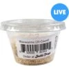 Josh's Frogs Waxworms Live Feed Reptile Food 1 Josh's Frogs Waxworms Live Feed Reptile Food -Pet Supplies Store 928990 MAIN. AC SS1800 V1696618964