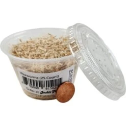 Josh's Frogs Waxworms Live Feed Reptile Food -Pet Supplies Store 928990 PT3. AC SS1800 V1692294889