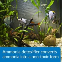 API Ammo-Lock Freshwater & Saltwater Aquarium Ammonia Detoxifier -Pet Supplies Store 94263 PT3. AC SS1800 V1630099008
