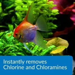 API Ammo-Lock Freshwater & Saltwater Aquarium Ammonia Detoxifier -Pet Supplies Store 94263 PT4. AC SS1800 V1630098395