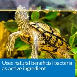 API Turtle Sludge Destroyer Aquarium Cleaner -Pet Supplies Store 94309 PT4. AC SS1800 V1633363731