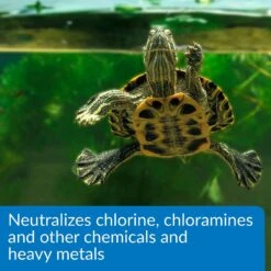 API Turtle Water Conditioner -Pet Supplies Store 94315 PT4. AC SS1800 V1633363811