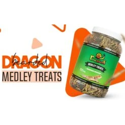 Freshinsects Medley Treats For Bearded Dragons 13 Freshinsects Medley Treats For Bearded Dragons -Pet Supplies Store 944294 PT3. AC SS1800 V1692721229