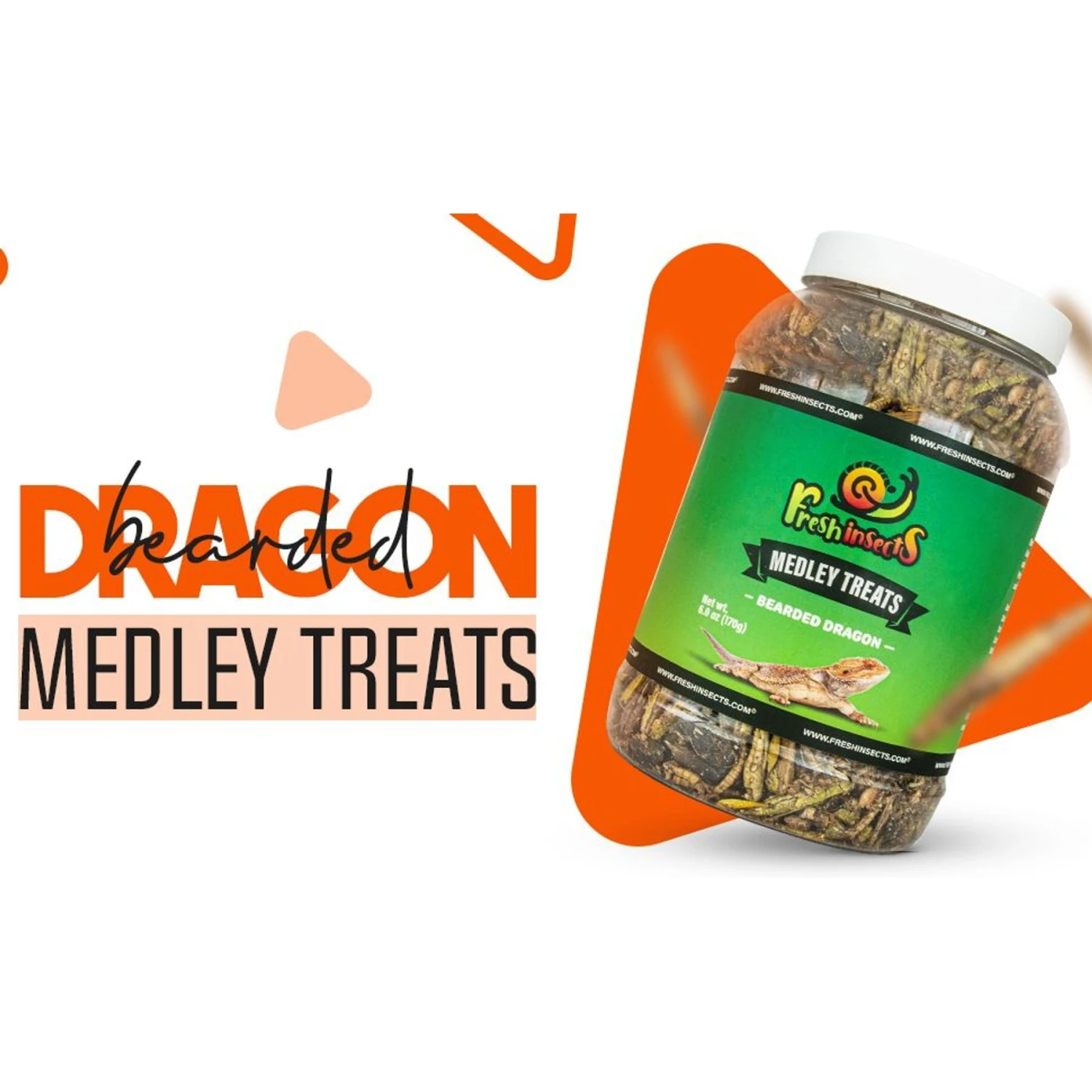 Freshinsects Medley Treats For Bearded Dragons 6 Freshinsects Medley Treats For Bearded Dragons - Image 4
