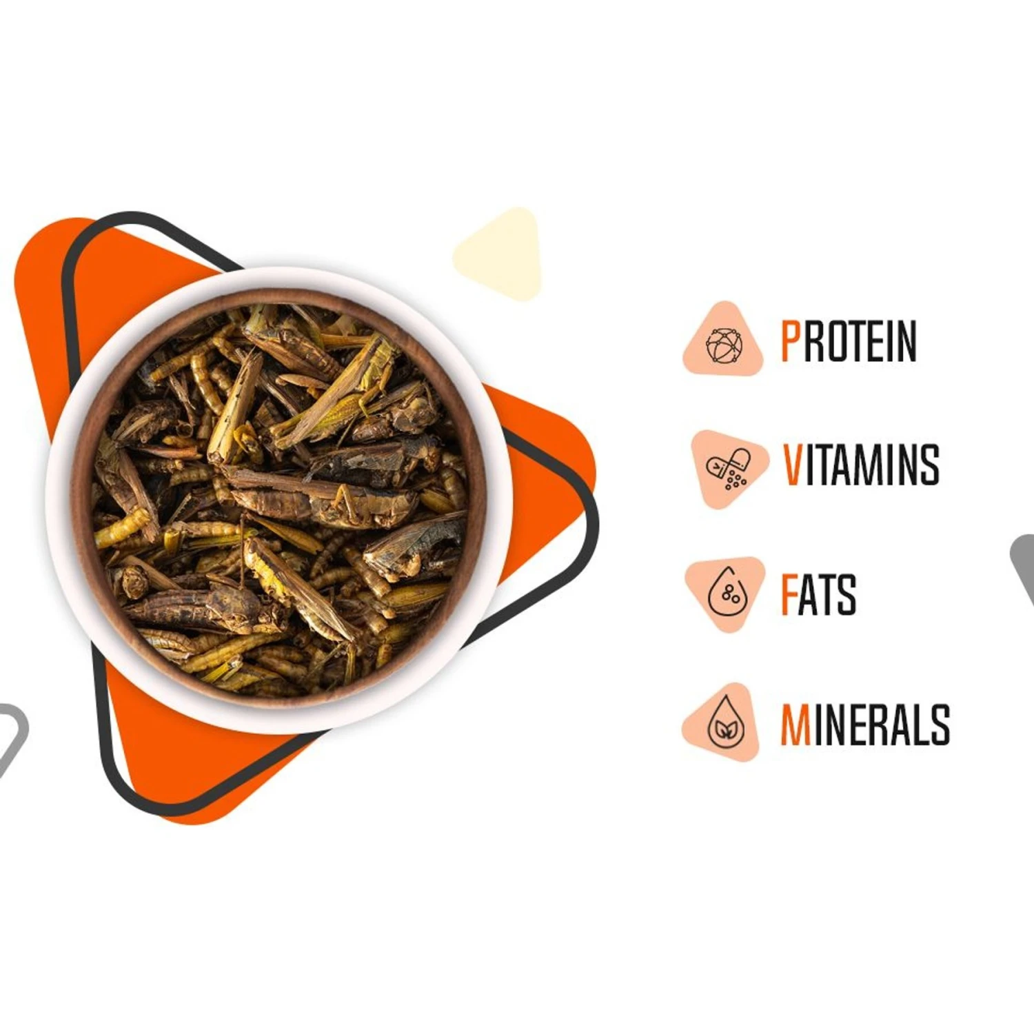 Freshinsects Medley Treats For Bearded Dragons 7 Freshinsects Medley Treats For Bearded Dragons - Image 5