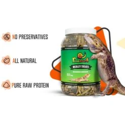Freshinsects Medley Treats For Bearded Dragons 15 Freshinsects Medley Treats For Bearded Dragons -Pet Supplies Store 944294 PT5. AC SS1800 V1692721433