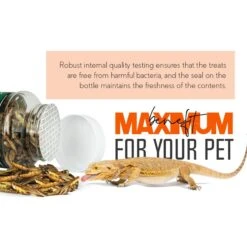 Freshinsects Medley Treats For Bearded Dragons 17 Freshinsects Medley Treats For Bearded Dragons -Pet Supplies Store 944294 PT7. AC SS1800 V1692721432