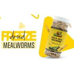 Freshinsects Freeze-Dried Mealworm Treats, 1.7-oz Jar 13 Freshinsects Freeze-Dried Mealworm Treats, 1.7-oz Jar -Pet Supplies Store 944342 PT3. AC SS1800 V1692721169