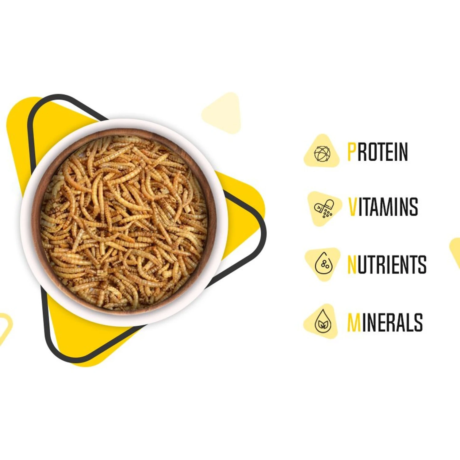 Freshinsects Freeze-Dried Mealworm Treats, 1.7-oz Jar 7 Freshinsects Freeze-Dried Mealworm Treats, 1.7-oz Jar - Image 5