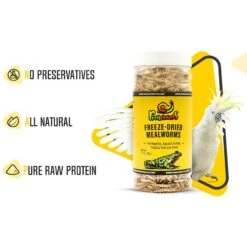 Freshinsects Freeze-Dried Mealworm Treats, 1.7-oz Jar 15 Freshinsects Freeze-Dried Mealworm Treats, 1.7-oz Jar -Pet Supplies Store 944342 PT5. AC SS1800 V1692721229