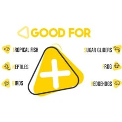 Freshinsects Freeze-Dried Mealworm Treats, 1.7-oz Jar 16 Freshinsects Freeze-Dried Mealworm Treats, 1.7-oz Jar -Pet Supplies Store 944342 PT6. AC SS1800 V1692721170