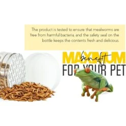 Freshinsects Freeze-Dried Mealworm Treats, 1.7-oz Jar 17 Freshinsects Freeze-Dried Mealworm Treats, 1.7-oz Jar -Pet Supplies Store 944342 PT7. AC SS1800 V1692721170