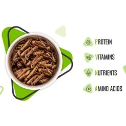 Freshinsects Freeze-Dried Grasshoppers Treats, 1-oz Jar 14 Freshinsects Freeze-Dried Grasshoppers Treats, 1-oz Jar -Pet Supplies Store 944374 PT4. AC SS1800 V1692721171