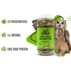 Freshinsects Freeze-Dried Grasshoppers Treats, 1-oz Jar 15 Freshinsects Freeze-Dried Grasshoppers Treats, 1-oz Jar -Pet Supplies Store 944374 PT5. AC SS1800 V1692721433