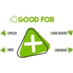 Freshinsects Freeze-Dried Grasshoppers Treats, 1-oz Jar 16 Freshinsects Freeze-Dried Grasshoppers Treats, 1-oz Jar -Pet Supplies Store 944374 PT6. AC SS1800 V1692721433