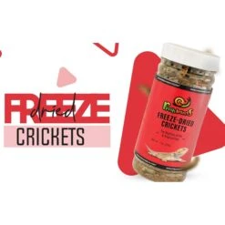 Freshinsects Freeze-Dried Crickets Treats, 1-oz Jar -Pet Supplies Store 944390 PT3. AC SS1800 V1692721173