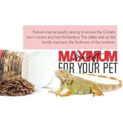 Freshinsects Freeze-Dried Crickets Treats, 1-oz Jar -Pet Supplies Store 944390 PT7. AC SS1800 V1692721433
