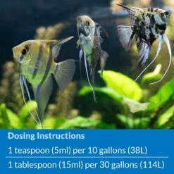 API Stress Coat Aquarium Water Conditioner -Pet Supplies Store 94494 PT6. AC SS1800 V1570552071