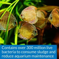 API Stress Zyme Freshwater & Saltwater Aquarium Water Cleaner -Pet Supplies Store 94508 PT4. AC SS1800 V1570552036