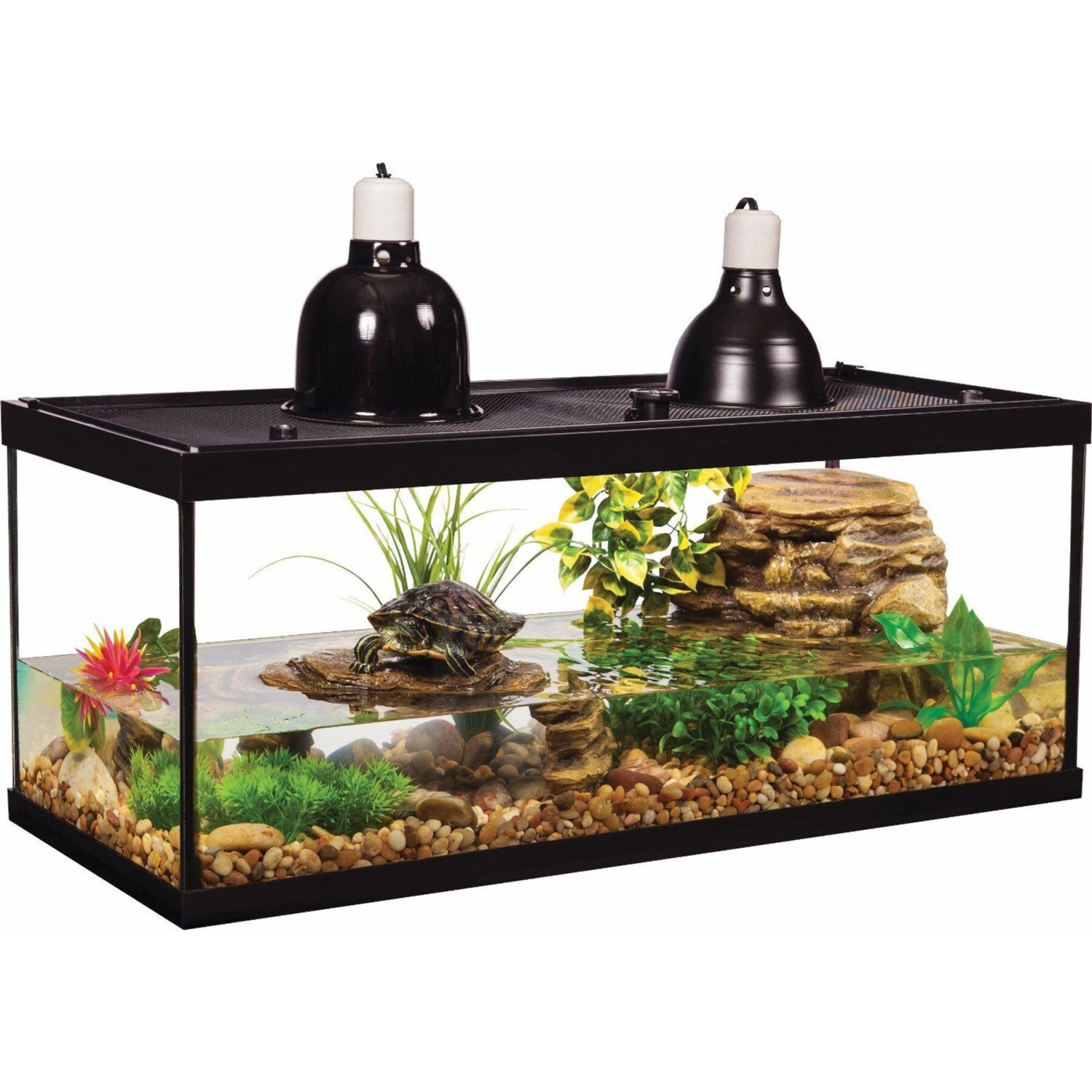 Tetrafauna Aquatic Turtle Deluxe Aquarium Kit & Tetrafauna Aquatic Reptile Aquarium Heater 4 Tetrafauna Aquatic Turtle Deluxe Aquarium Kit & Tetrafauna Aquatic Reptile Aquarium Heater - Image 2