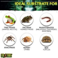 Exo Terra Plantation Soil Tropical Terrarium Reptile Substrate -Pet Supplies Store 96516 PT4. AC SS1800 V1627609880