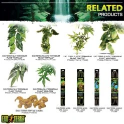 Exo Terra Plantation Soil Tropical Terrarium Reptile Substrate -Pet Supplies Store 96516 PT6. AC SS1800 V1627615050
