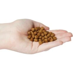 Zoo Med Natural Aquatic Maintenance Formula Turtle Food -Pet Supplies Store 96821 PT3. AC SS1800 V1474642066