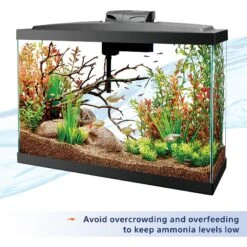 Aqueon Ammonia Neutralizer Water Conditioner -Pet Supplies Store 97009 PT4. AC SS1800 V1638493617