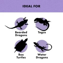 Zilla Reptile Munchies Omnivore With Calcium -Pet Supplies Store 97671 PT3. AC SS1800 V1685651236