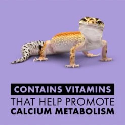 Zilla Vitamin Supplement With Beta Carotene Reptile Food Spray 9 Zilla Vitamin Supplement With Beta Carotene Reptile Food Spray -Pet Supplies Store 97782 PT2. AC SS1800 V1638483770