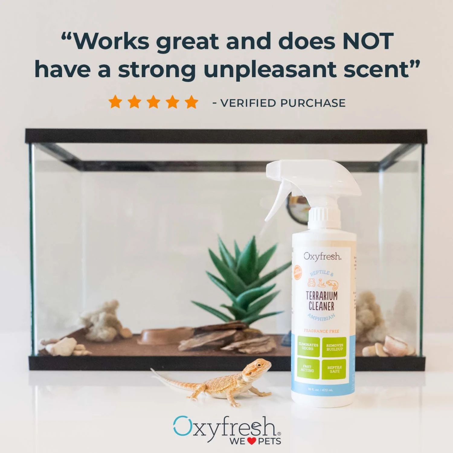 Oxyfresh Bleach-Free Reptile & Amphibian Terrarium Cleaner, 16-oz Bottle 5 Oxyfresh Bleach-Free Reptile & Amphibian Terrarium Cleaner, 16-oz Bottle - Image 3