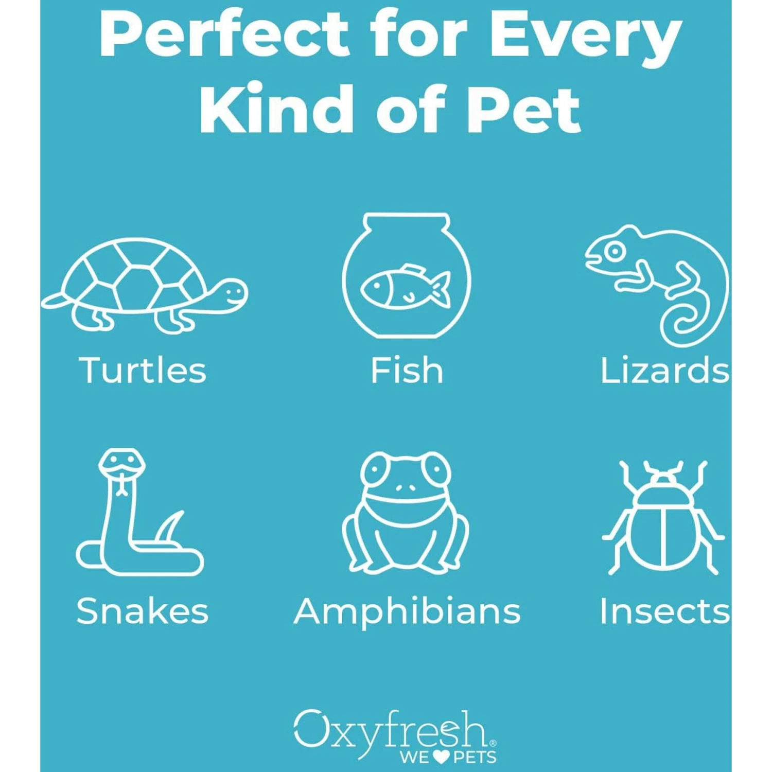 Oxyfresh Bleach-Free Reptile & Amphibian Terrarium Cleaner, 16-oz Bottle 9 Oxyfresh Bleach-Free Reptile & Amphibian Terrarium Cleaner, 16-oz Bottle - Image 7