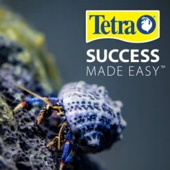 Tetrafauna Hermit Crab Cakes Pellet Land Crab Food 18 Tetrafauna Hermit Crab Cakes Pellet Land Crab Food -Pet Supplies Store 98638 PT7. AC SS1800 V1701453420